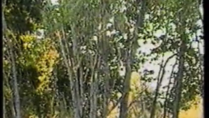 Hypatia lee ile vahşi vahşi batı