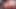 Ateşli latin sexydea twerk dildoyla azdırma dansı kraliçe büyük götlü büyük göğüsler - sallayan göt