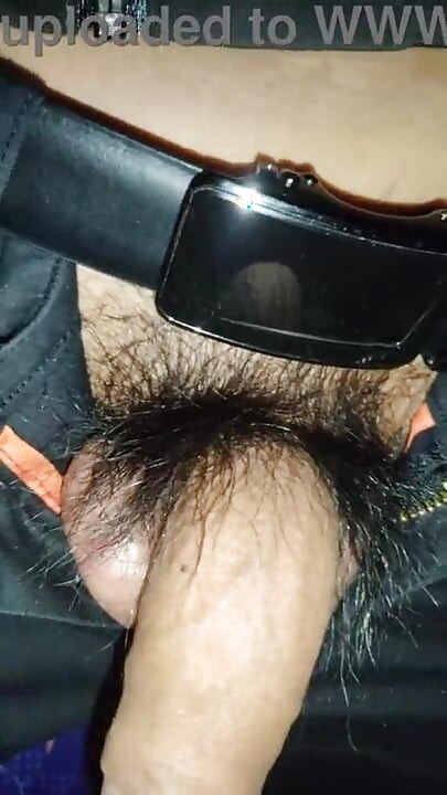seksi dd