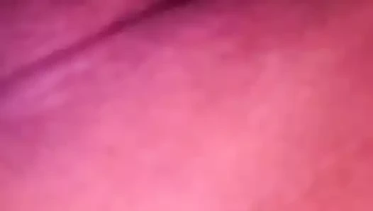 Flashes sıkı kedi üzerinde kam sevilen horoz