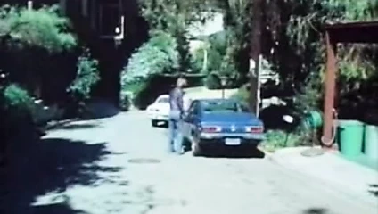 hevesli ve aptal