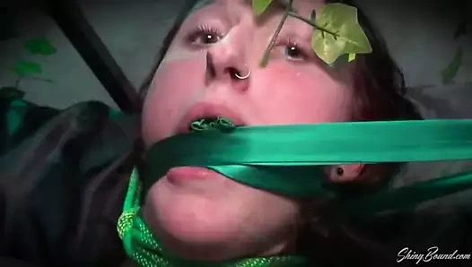 Gece kuzgunu bitkiye karşı