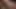 Claire Robbins teaser 12