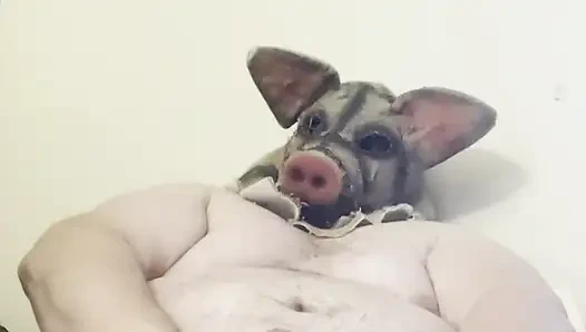 Obez Amerikalı domuz bubba burly chub şişman götünü ve yarağını teşhir ediyor