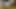 Uzun iç çamaşırlı kıçımın bir videosu