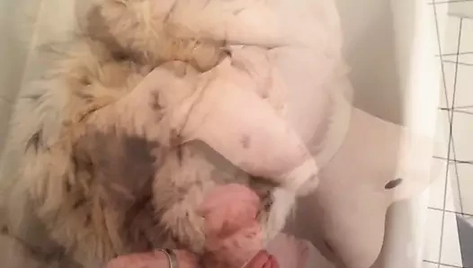 Pee into cute little Fur Coat