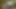 Kredi4k. yaramaz bebek nathaly verir onu traş kedi