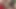 İki sürtük orta yaşlı seksi kadın temizlikçileri sikmek için baştan çıkarıyor