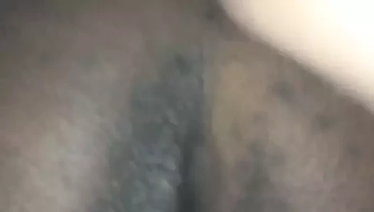 Kalın kolej abanoz becerdin köpek stili, bwc ırklararası