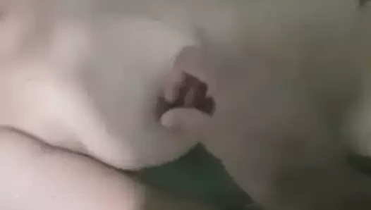 Model porno yıldızı olmak için istediği her şeyi yapıyor