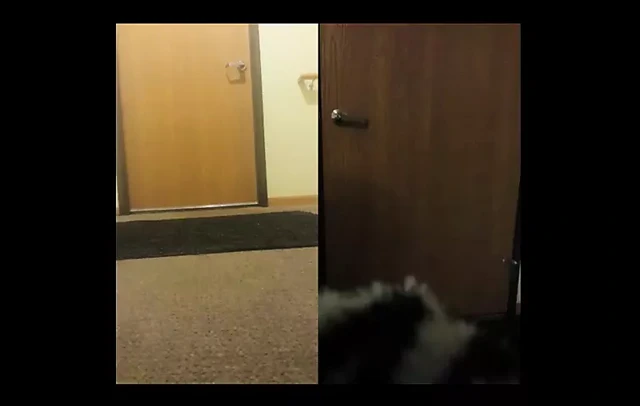 Pizzacı onun için soyunuyorum