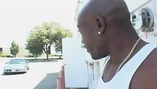 Abanoz candice von çığlıklar olarak o hoşlanır the büyük siyah horoz