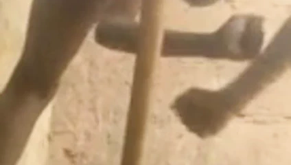 Afrikalı kadın süpürge sapıyla mastürbasyon yapıyor.