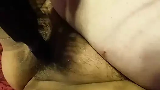 saç fırçası dildoing kedi