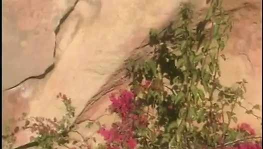Ateşli genç tıraşlı amcık lezbiyen amcık parmaklıyor sürtükler dışarıda birbirlerini yalıyor