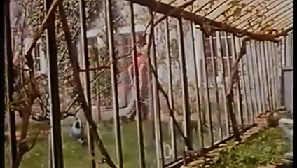 Privat Lektionen Anal (1987)