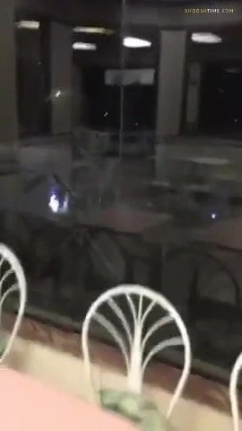 Ben hasta bir pisliğim, bir mcfuck'ı severim