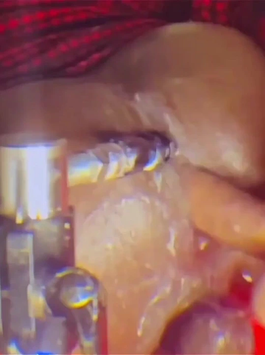 Etini sıvazlaman için Noel özel