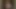 Rach harika