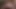Mayıs 2022 24. gün sfm ve blender porno derlemesi
