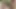 Seksi zenci hatun koyu ıslak amcığını yalıyor