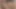 Üvey kız kardeşimle porno izliyorum. Amına dokunmama izin verdi. Sonra ne oldu?