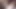 ırklararası bbc için dik beyaz karıcık