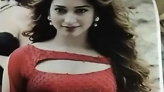 Tamanna sıcak haraç 123