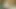 Nişanlım içime boşaldı ve beni hamile bıraktı! pov doggystyle creampie