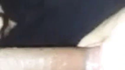 Seksi gf emme benim çük