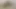 Güzel Kolombiyalı özel seçmelerde