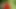 FOVEA