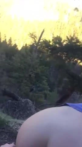 polvo en el monte