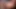 İki ateşli lezbiyen kız amını oynuyor ve tüm deliklere dildo sokuyor