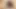 Amatör bakış açısı dtf büyük memeli orta yaşlı seksi kadın emiyor ve yakın çekimde yarağa biniyor