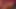 Torrie Wilson, Maria Kanellis, Ashley Massaro, Stacy Keibler