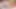 Vixen bunny fanta sie ve büyük boyutlu dildo