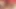 Ateşli travesti Ariella Shamless iyi bir götten başka bir şey istemiyor