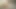 Sarışın delisi sydney page seviyor duygu büyük çük pov