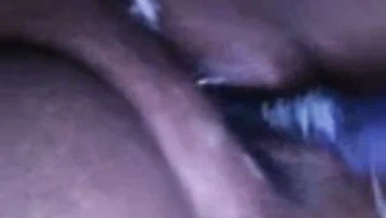 kahverengi piliç 22