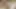Seni beni tekrar tekrar senin yapmaya davet ediyorum, kabul ediyor musun?