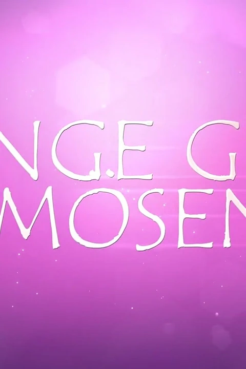 Genç Spor Salonu Kedi