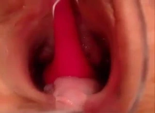 Hamile ve kedi ile oynama