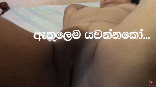 Neibhours evi ile ıslak bir gece