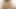 Büyük Hint testiler