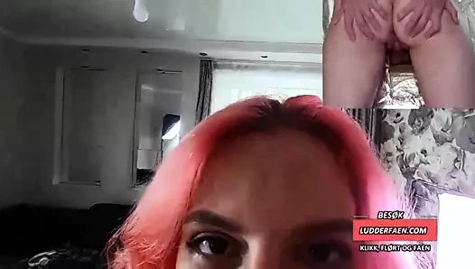 Rosa harpike glore gövde knull