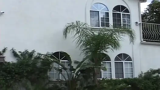 Gier eskaliert wenn alle Sicherungen durchbrennen bis alles