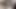 Snaps ve Cumshot