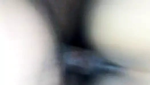 o kedi dışarı kazmak