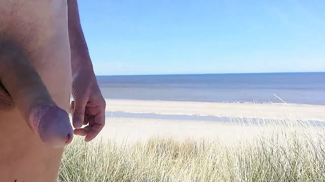 Обнаженная, идущая по голландским дюнам